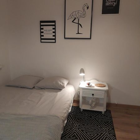 Mieszkanie 4-Pokojowe W Toruniu Przy Umk Dış mekan fotoğraf
