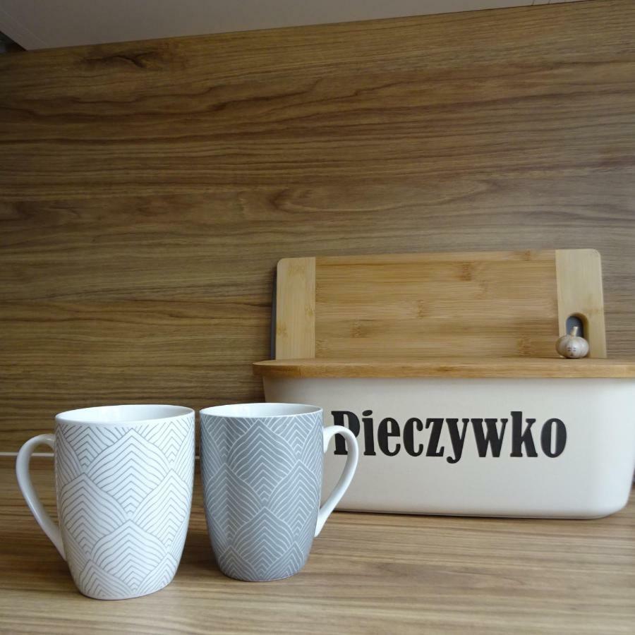 Mieszkanie 4-Pokojowe W Toruniu Przy Umk Dış mekan fotoğraf